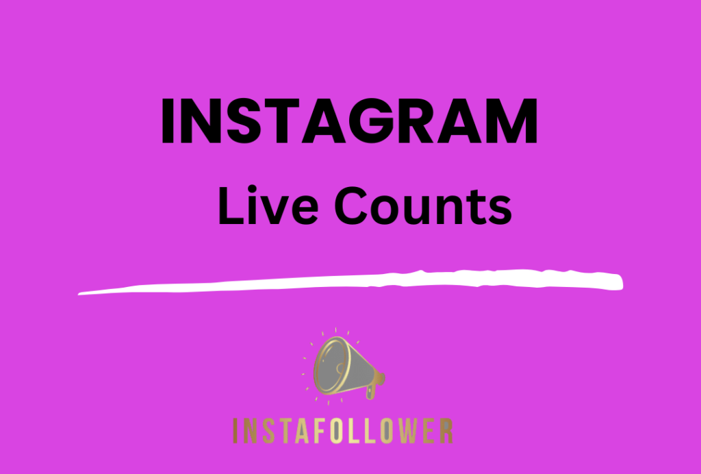 Instagram follower counts 3 INSTAGRAM 5 e1724172579130