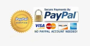 Secure Payment By Paypal